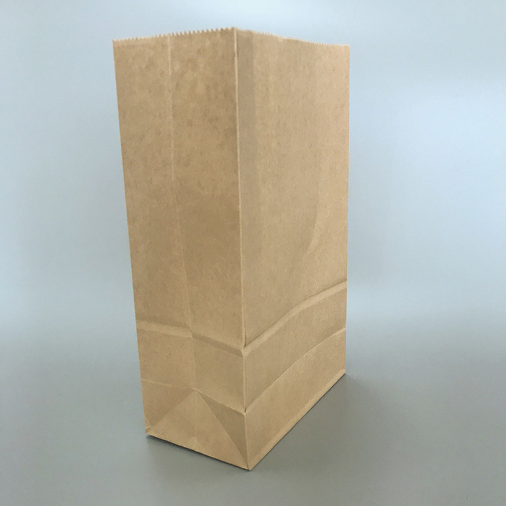 100 قطعة من أكياس الورق الكراف - مراجعة Food Storage Large وسعره
