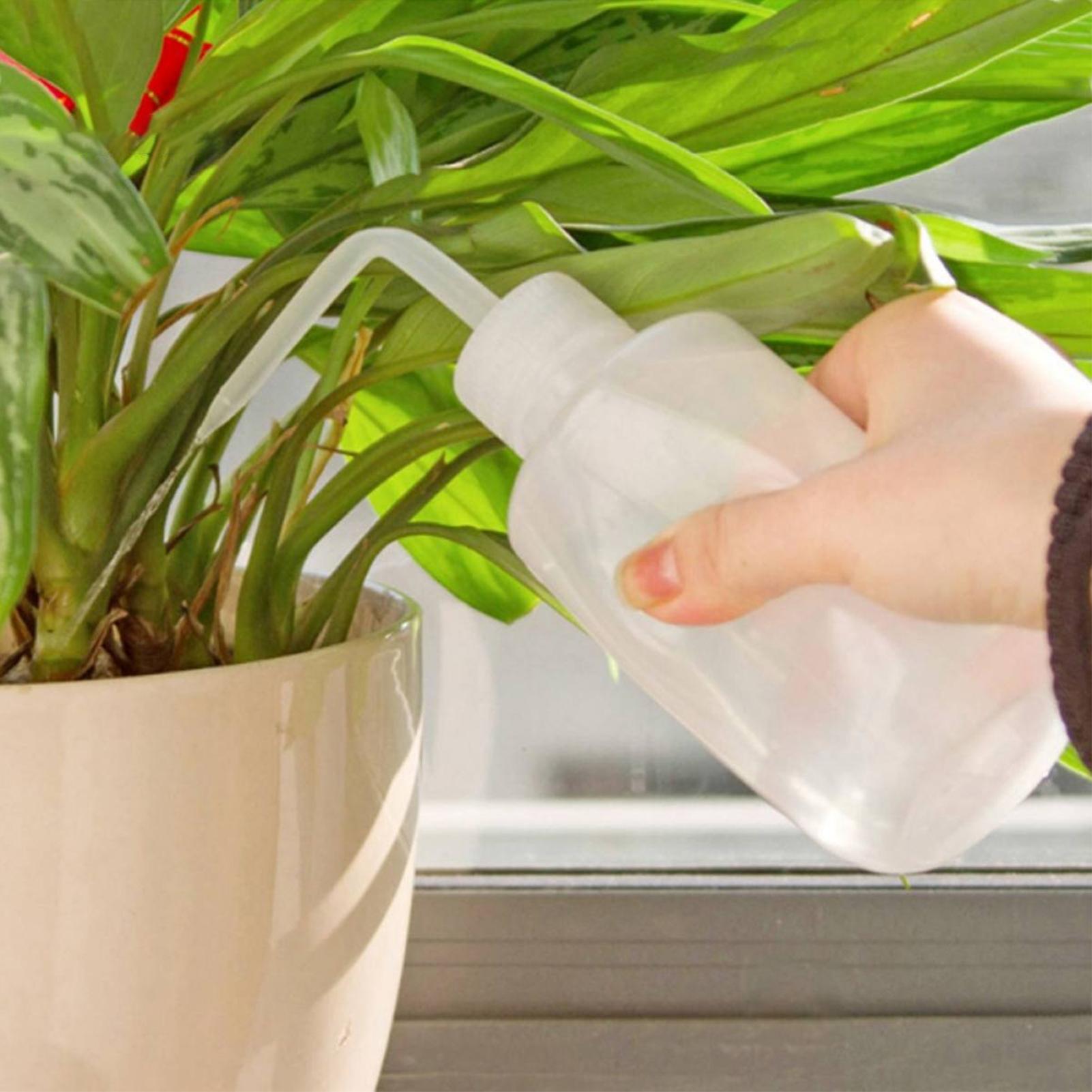 زجاجة غسيل بالضغط 250 مل، زجاج - مراجعة Food Storage And Safety وسعره