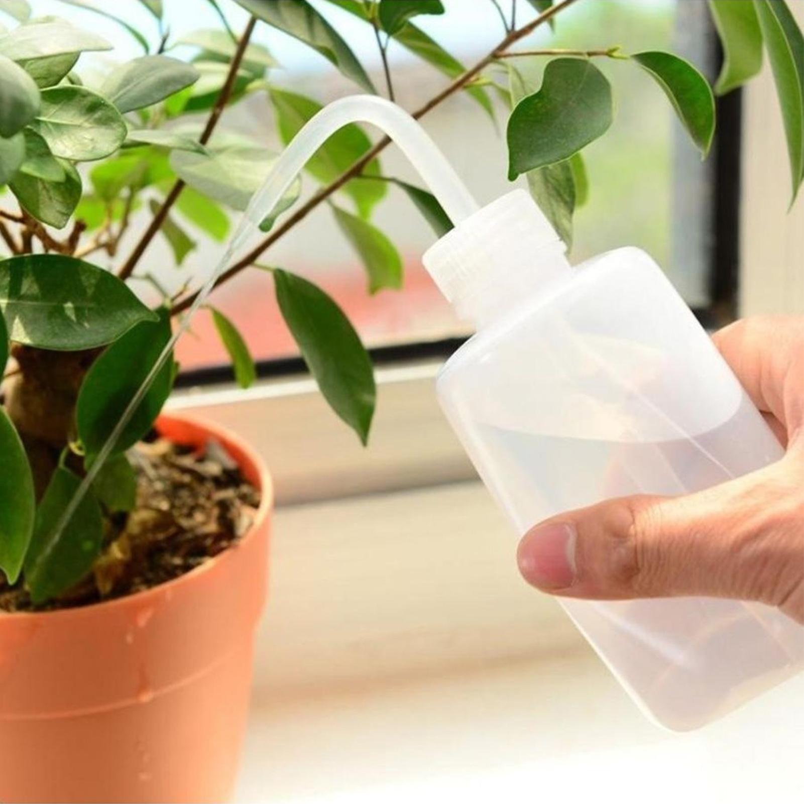 زجاجة غسيل بالضغط 250 مل، زجاج - مراجعة Food Storage And Safety وسعره