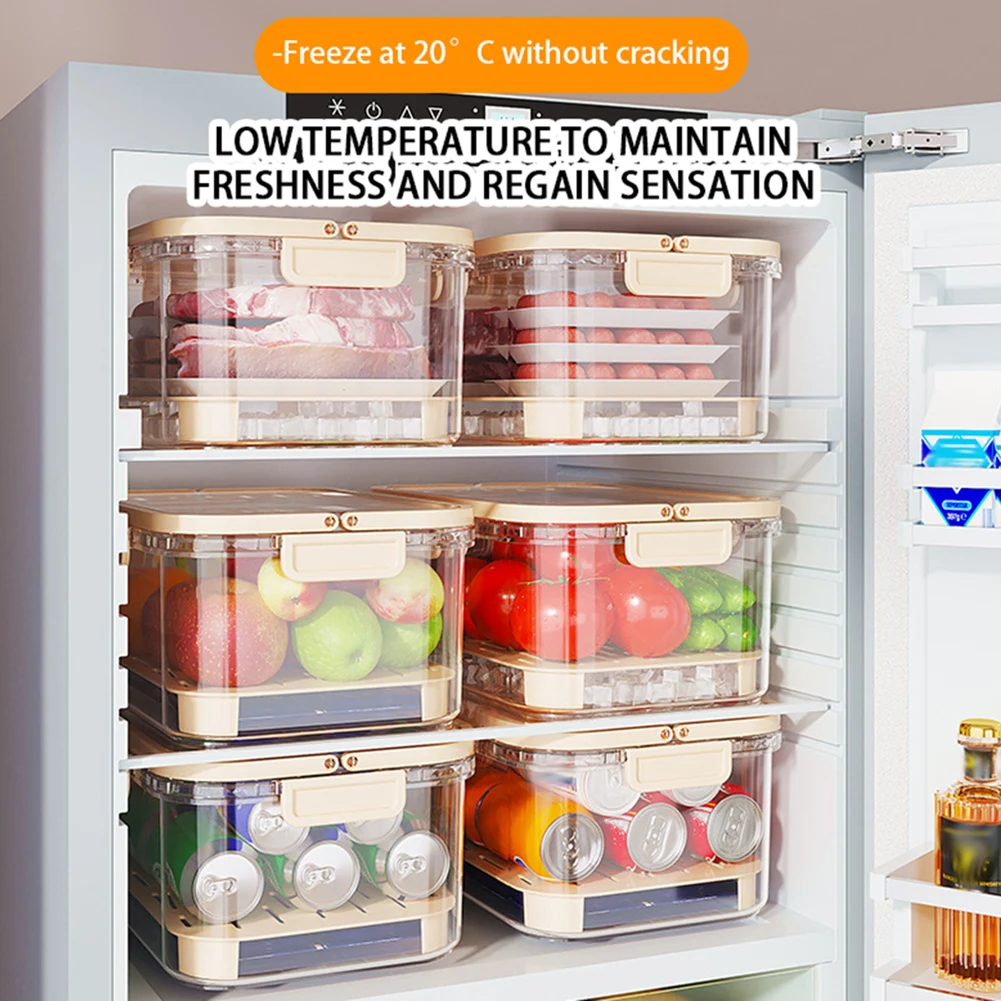حاوية تخزين الطعام المحمولة، ص - مراجعة Food Storage Large وسعره